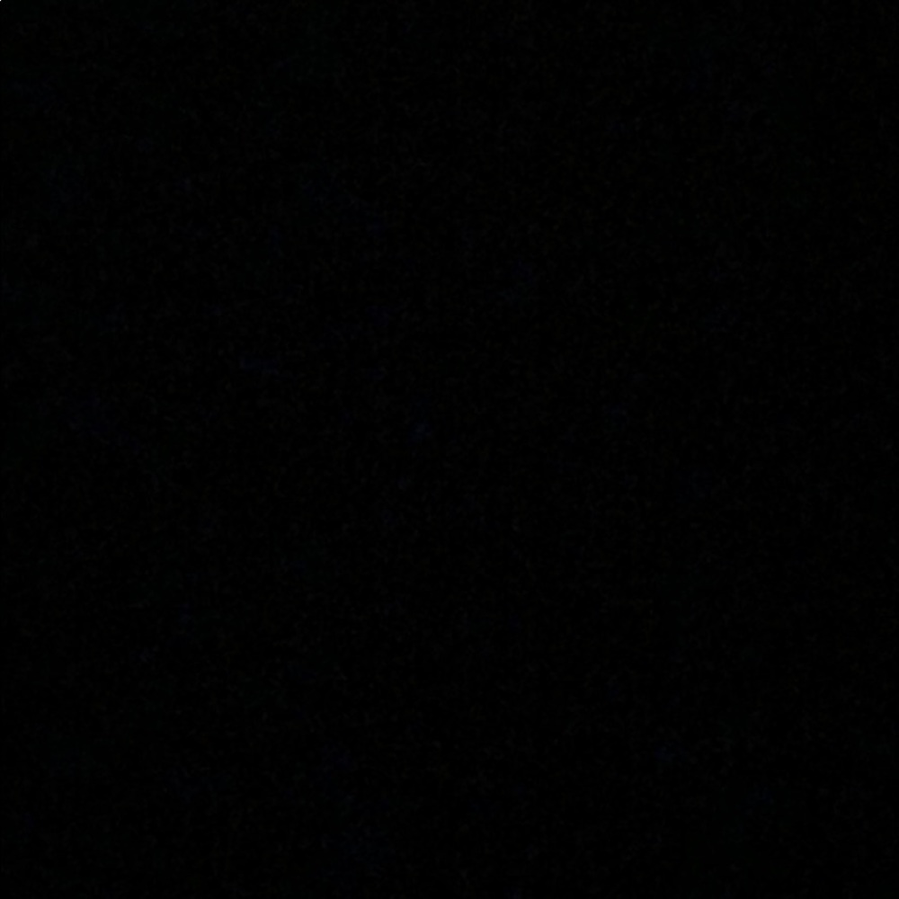 Meet your Posher, Rona